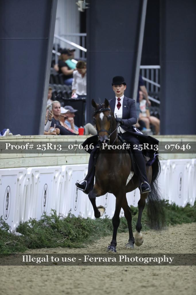 Proof Number 25R13_07646