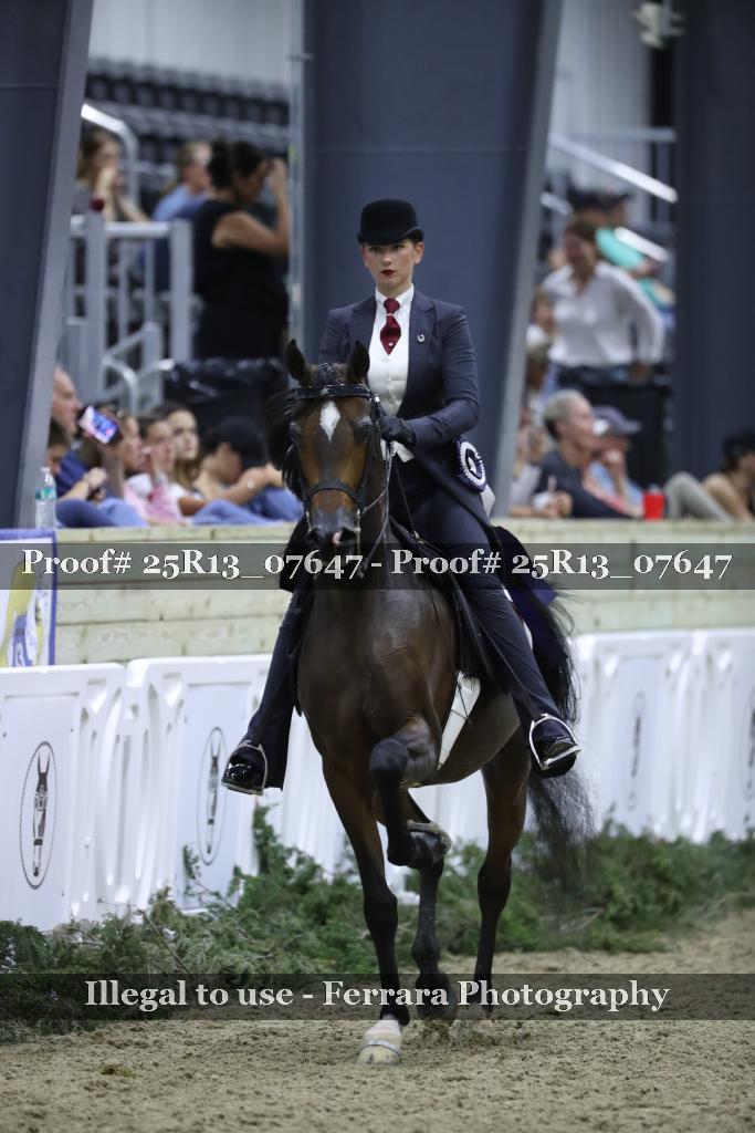 Proof Number 25R13_07647