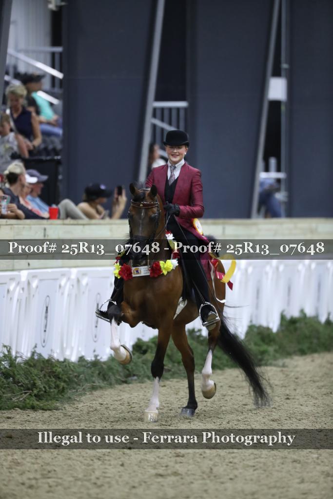 Proof Number 25R13_07648