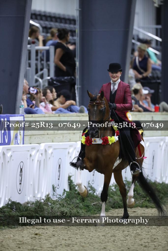 Proof Number 25R13_07649
