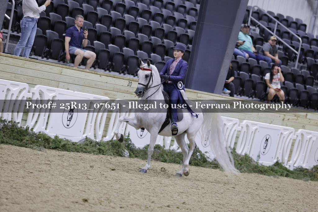 Proof Number 25R13_07651