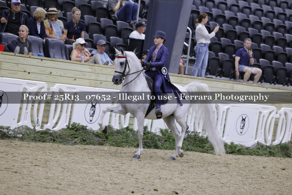 Proof Number 25R13_07652