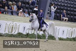 25R13_07652 thumbnail