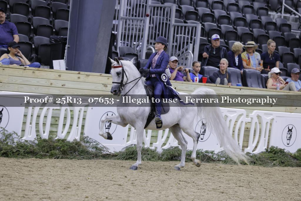 Proof Number 25R13_07653