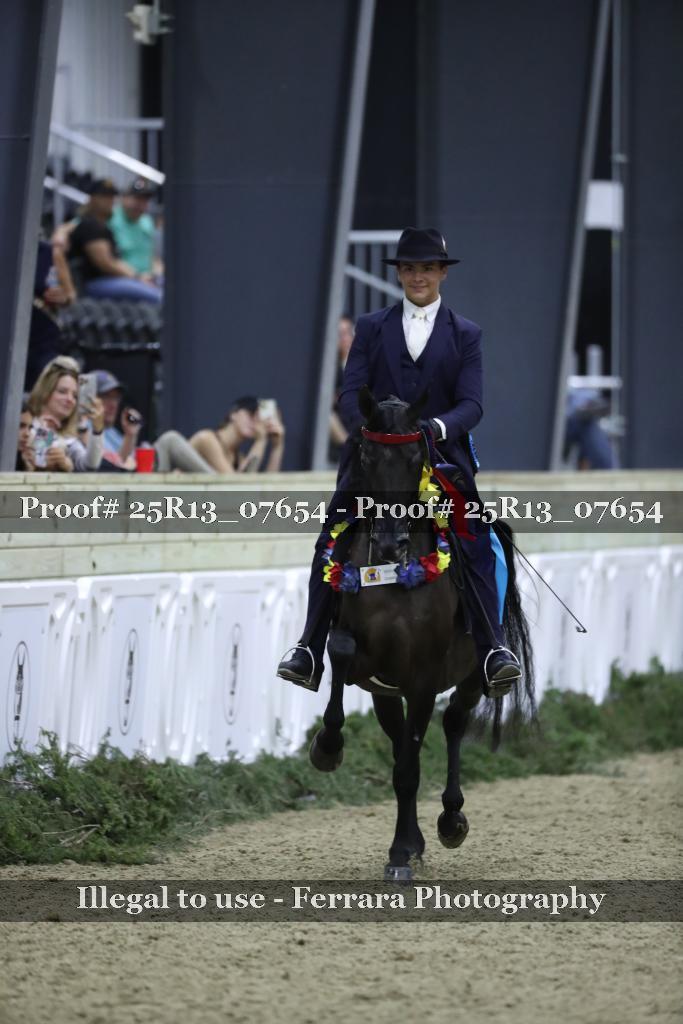 Proof Number 25R13_07654
