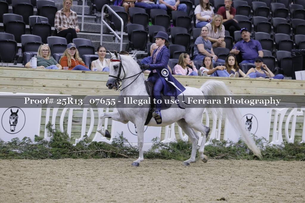 Proof Number 25R13_07655