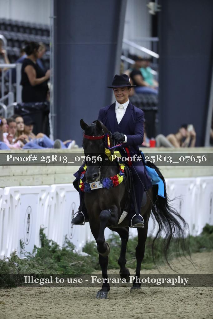 Proof Number 25R13_07656
