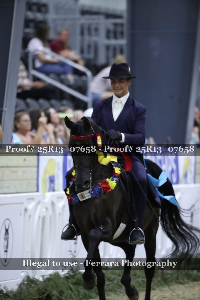 Proof Number 25R13_07658