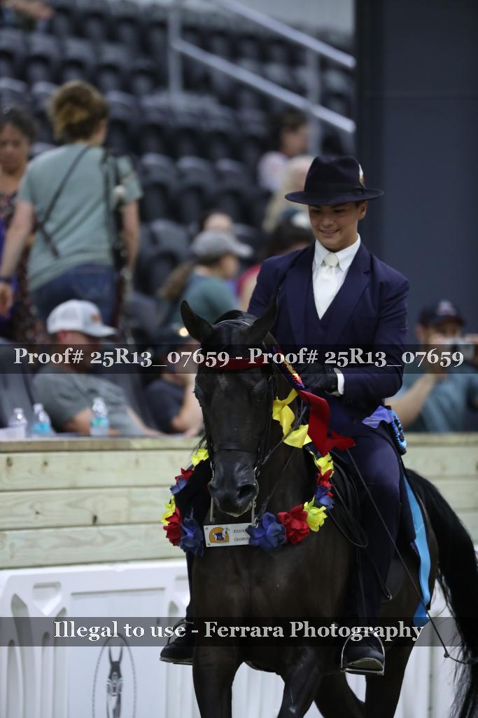 Proof Number 25R13_07659