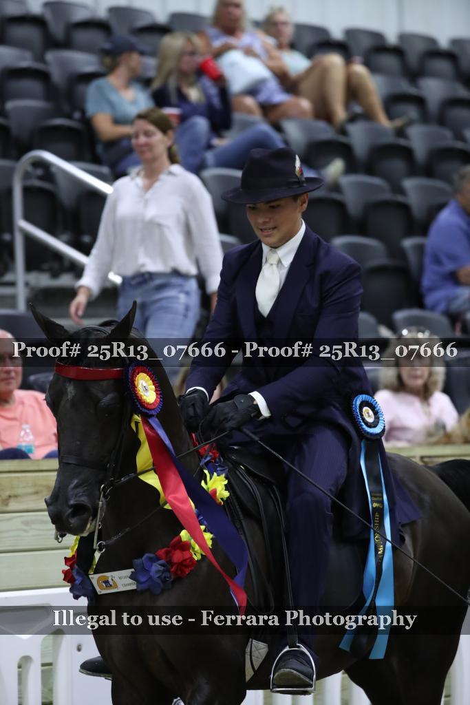 Proof Number 25R13_07666