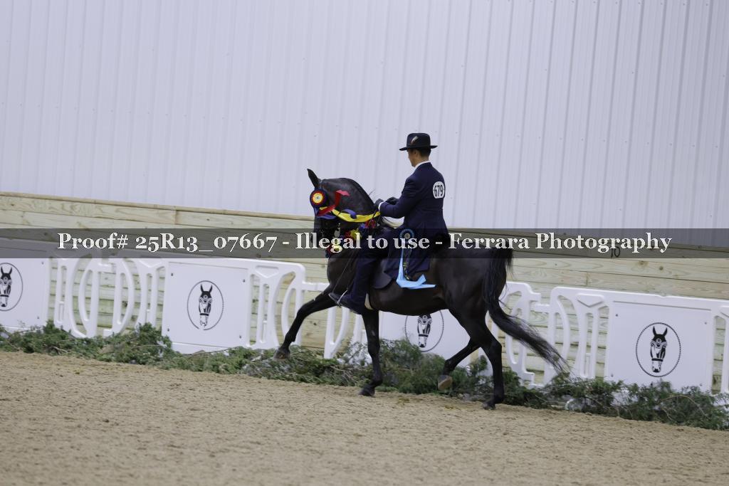 Proof Number 25R13_07667
