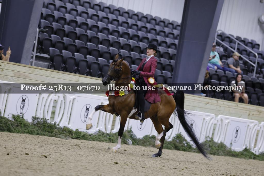 Proof Number 25R13_07670