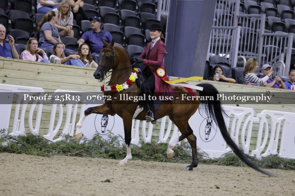 Proof Number 25R13_07672