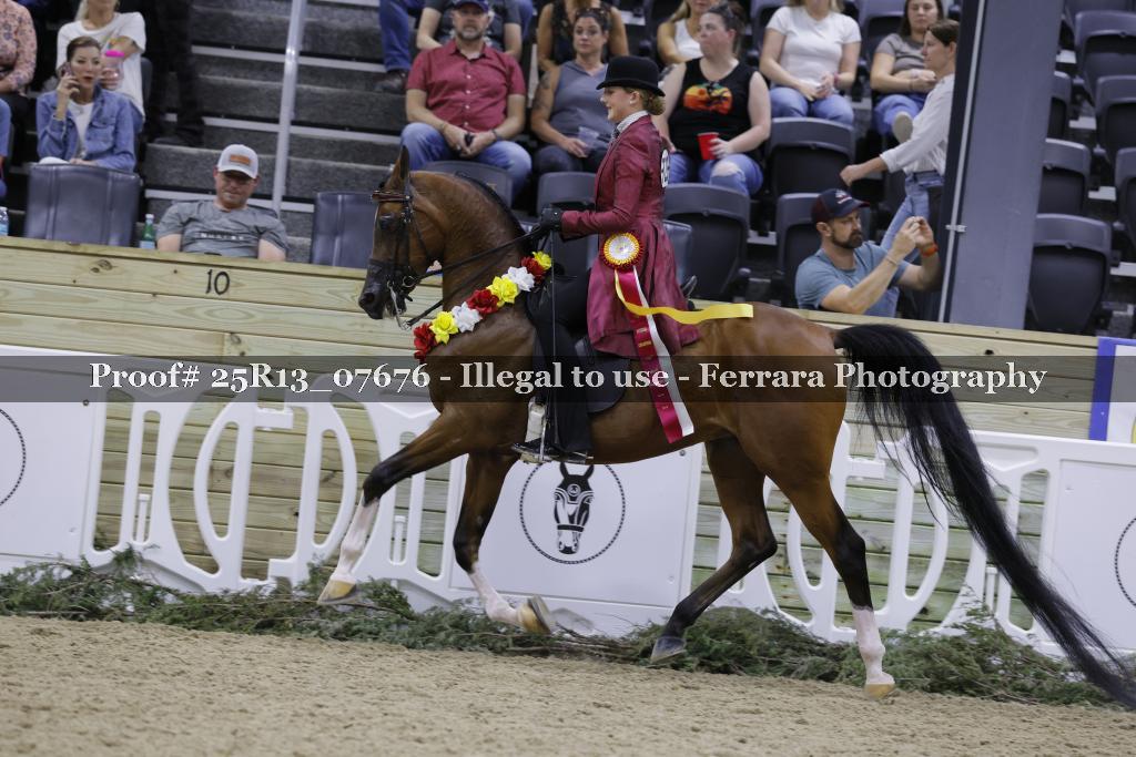 Proof Number 25R13_07676