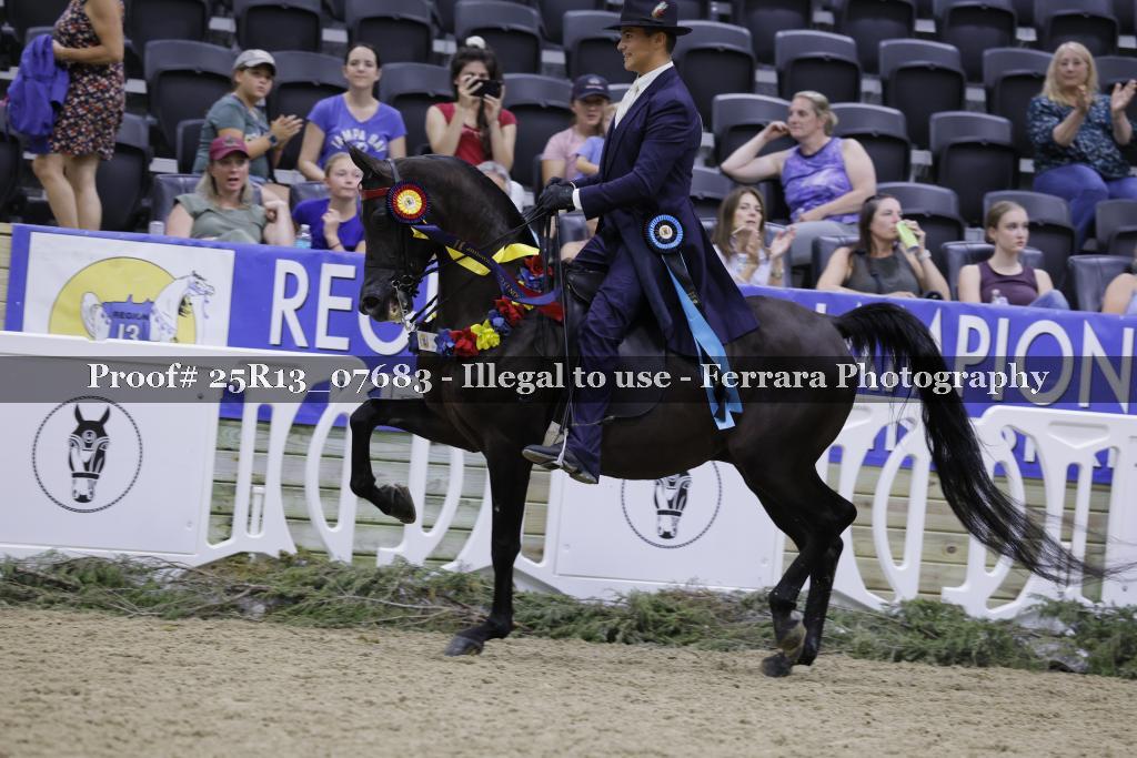 Proof Number 25R13_07683