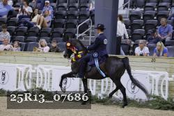 25R13_07686 thumbnail