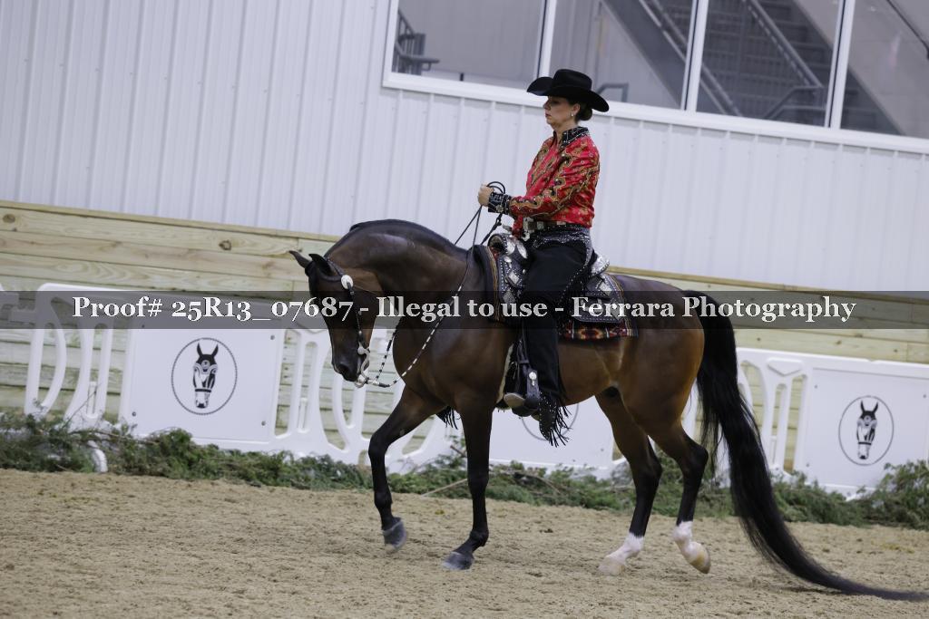 Proof Number 25R13_07687