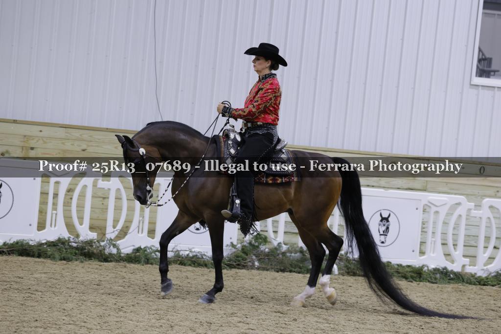 Proof Number 25R13_07689