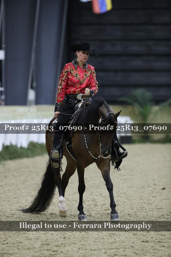 Proof Number 25R13_07690