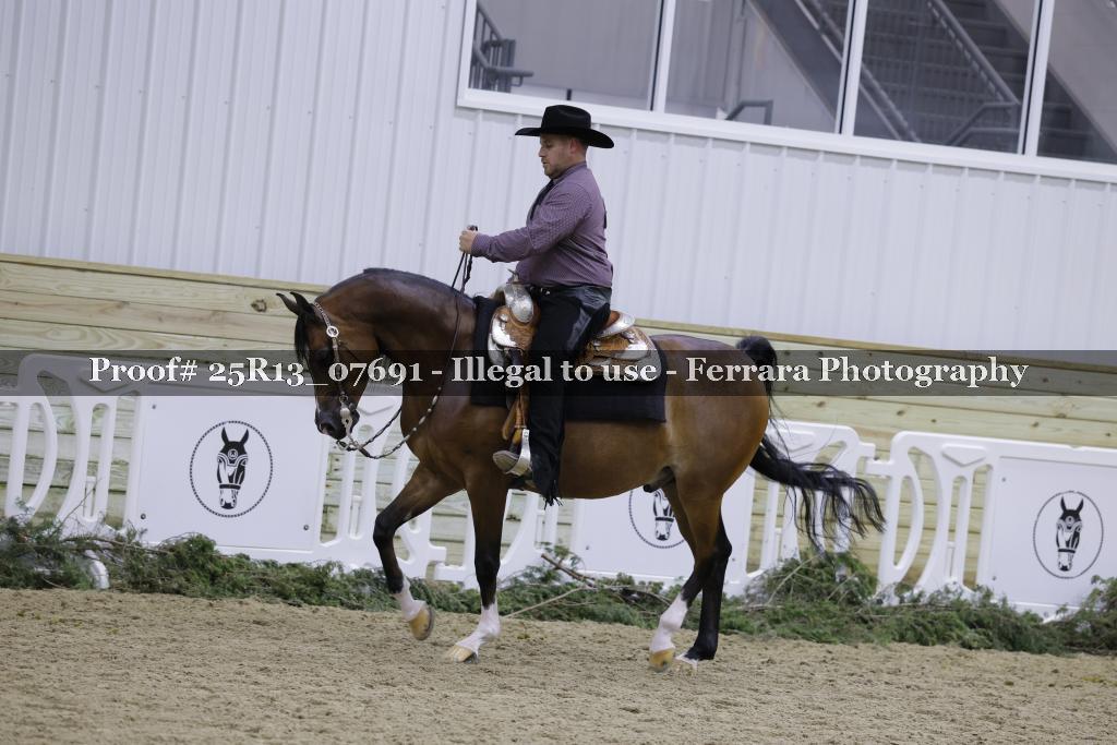 Proof Number 25R13_07691