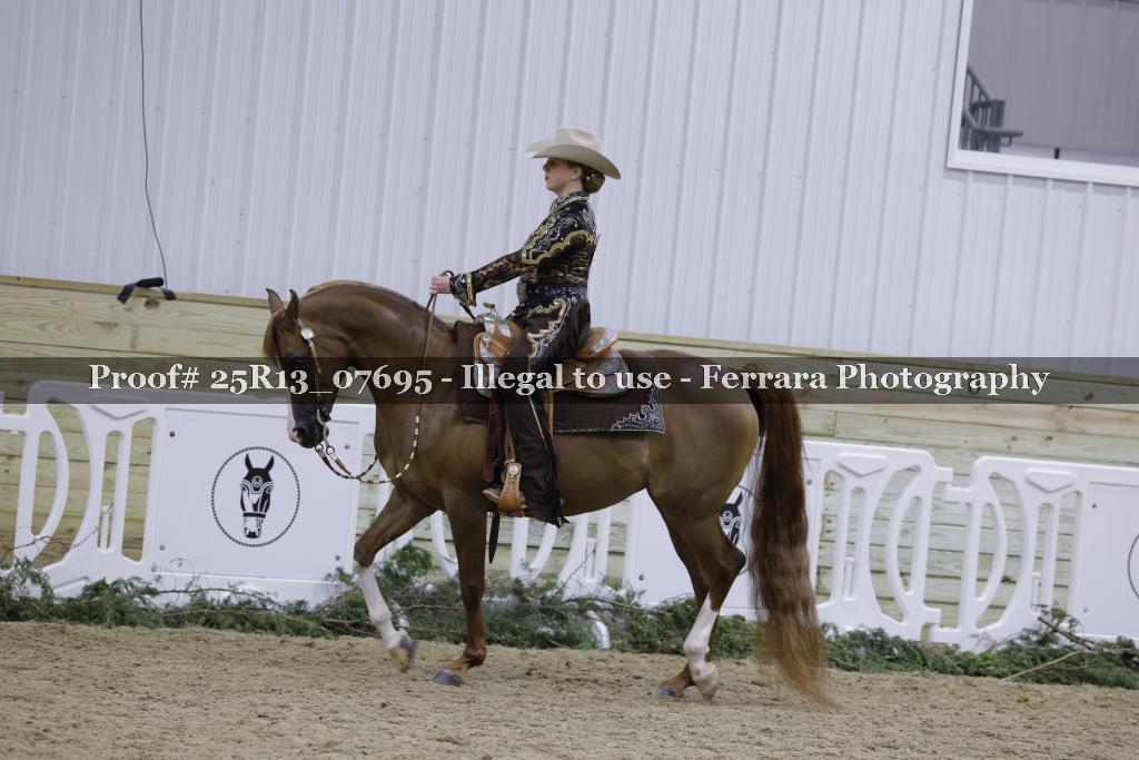 Proof Number 25R13_07695
