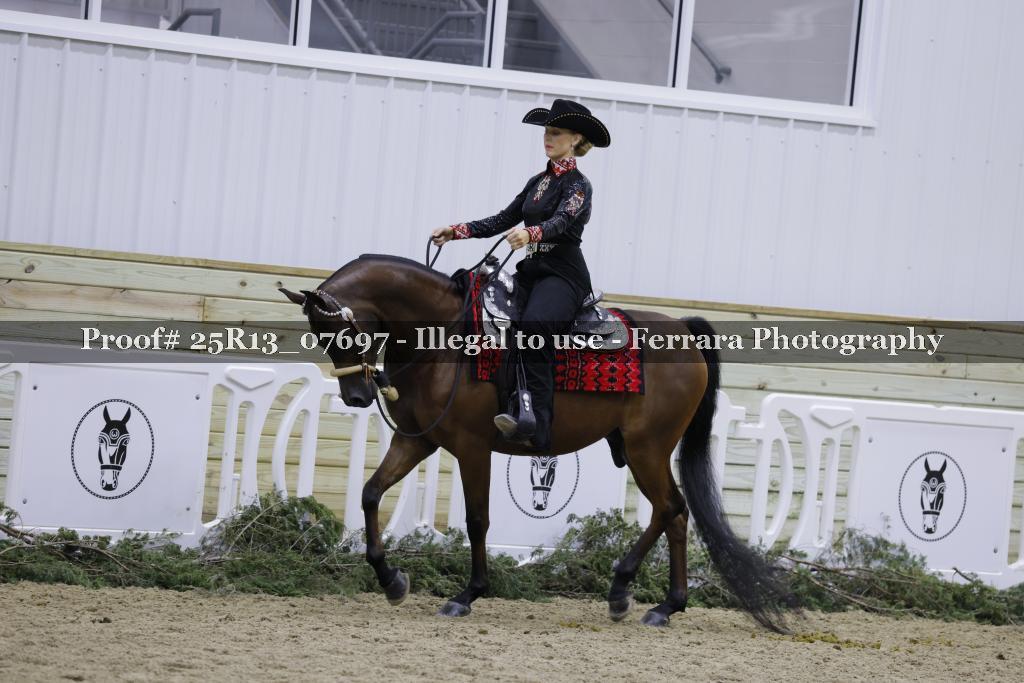 Proof Number 25R13_07697