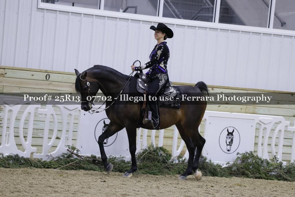 Proof Number 25R13_07702