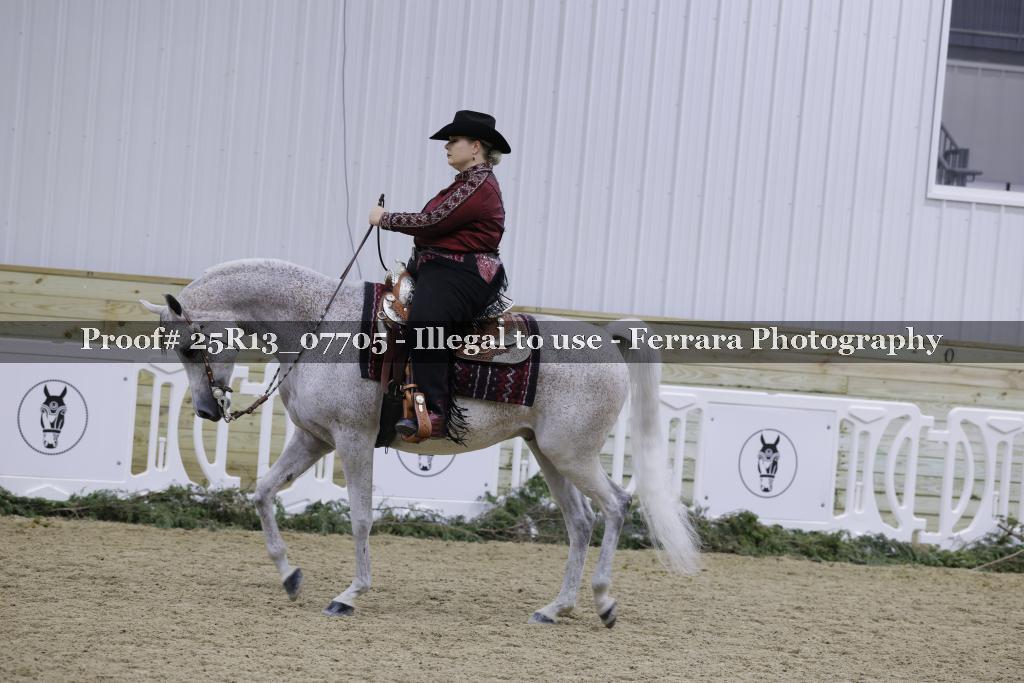Proof Number 25R13_07705
