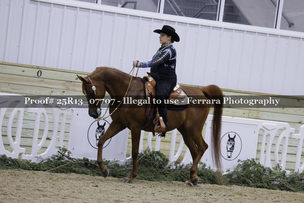 Proof Number 25R13_07707
