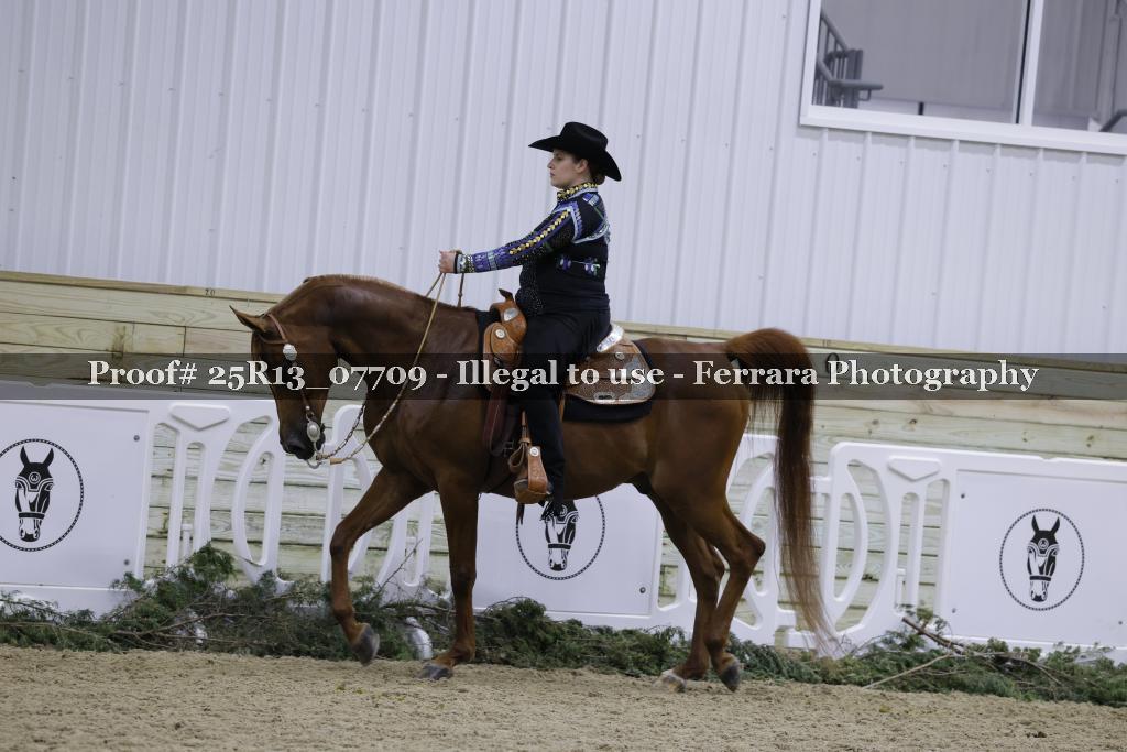 Proof Number 25R13_07709