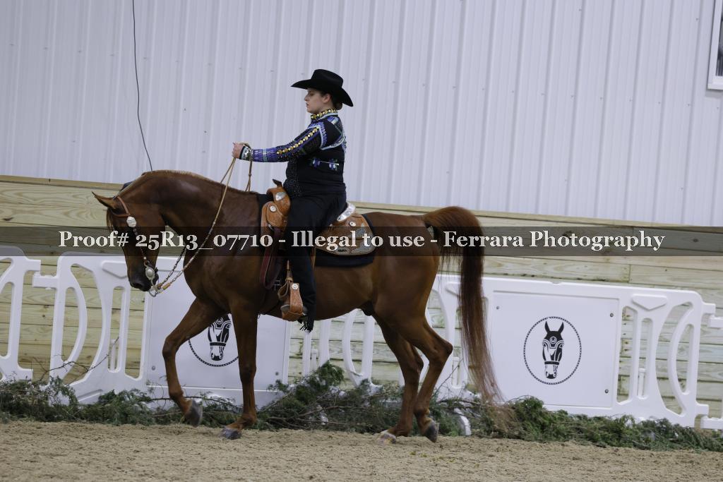 Proof Number 25R13_07710