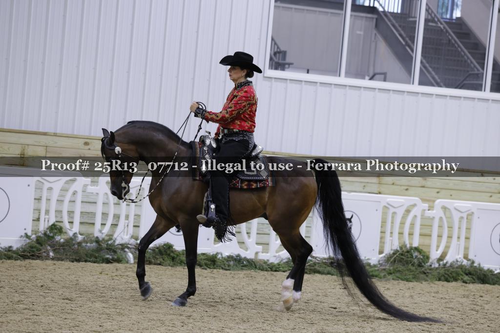 Proof Number 25R13_07712