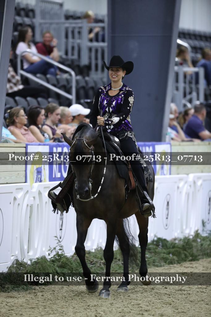 Proof Number 25R13_07713