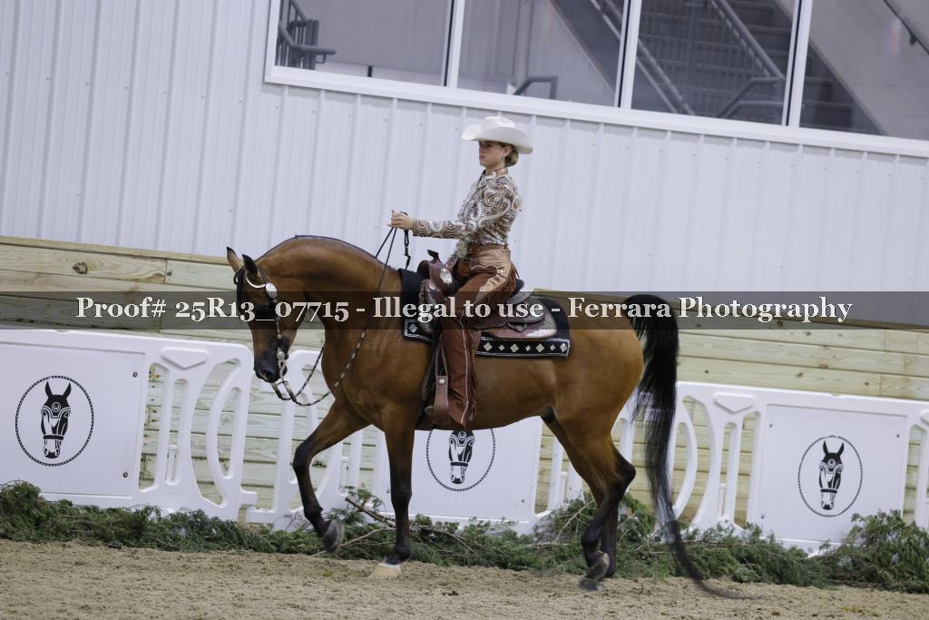 Proof Number 25R13_07715