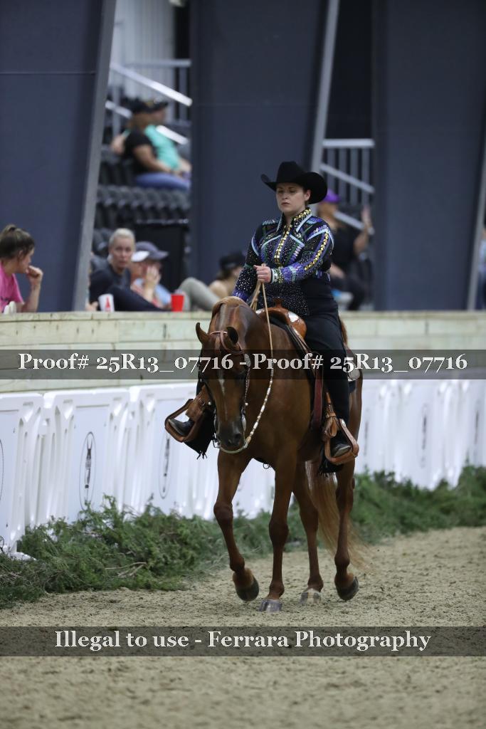 Proof Number 25R13_07716