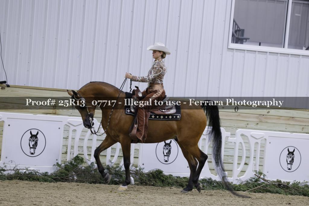 Proof Number 25R13_07717