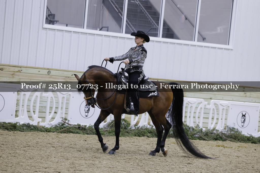 Proof Number 25R13_07723