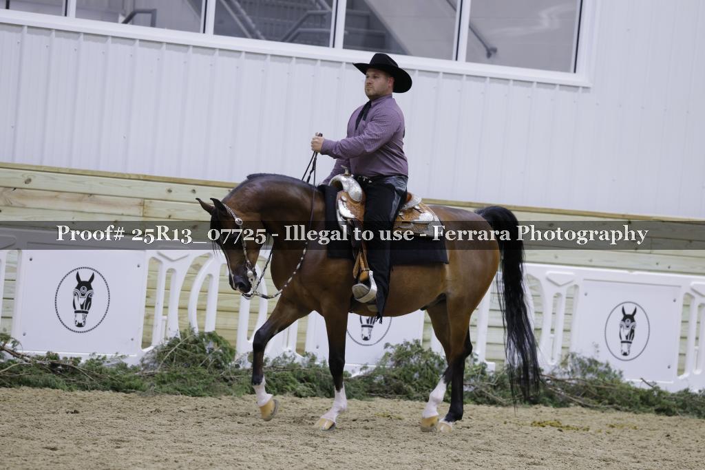Proof Number 25R13_07725