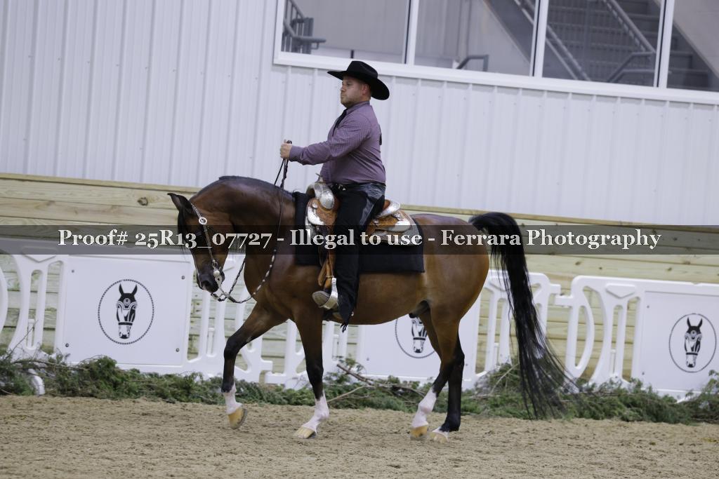 Proof Number 25R13_07727