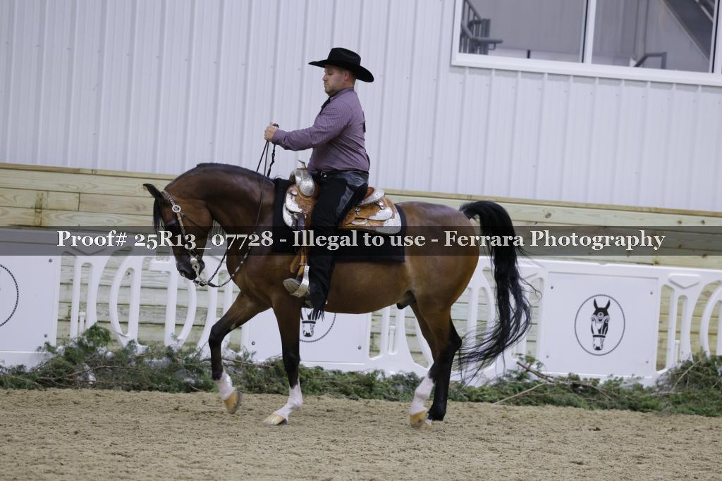 Proof Number 25R13_07728