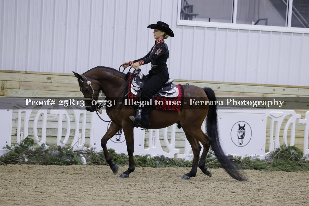 Proof Number 25R13_07731
