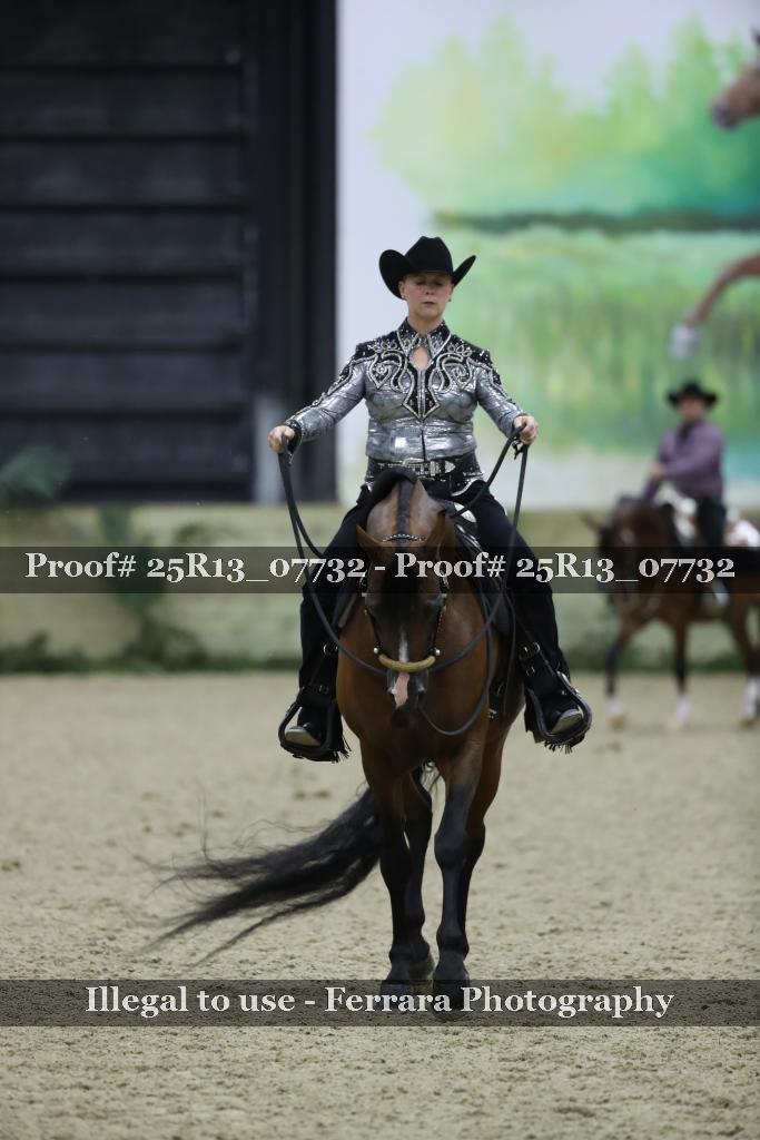 Proof Number 25R13_07732