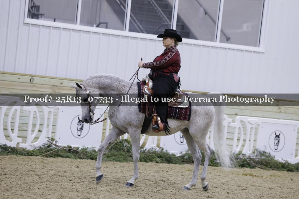 Proof Number 25R13_07733