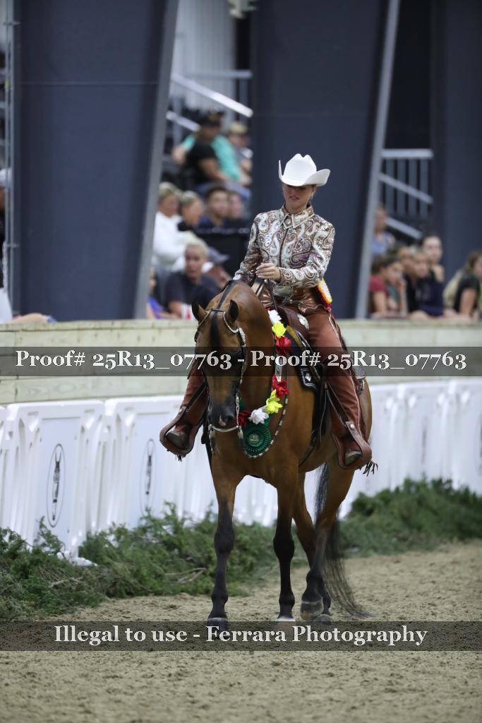 Proof Number 25R13_07763