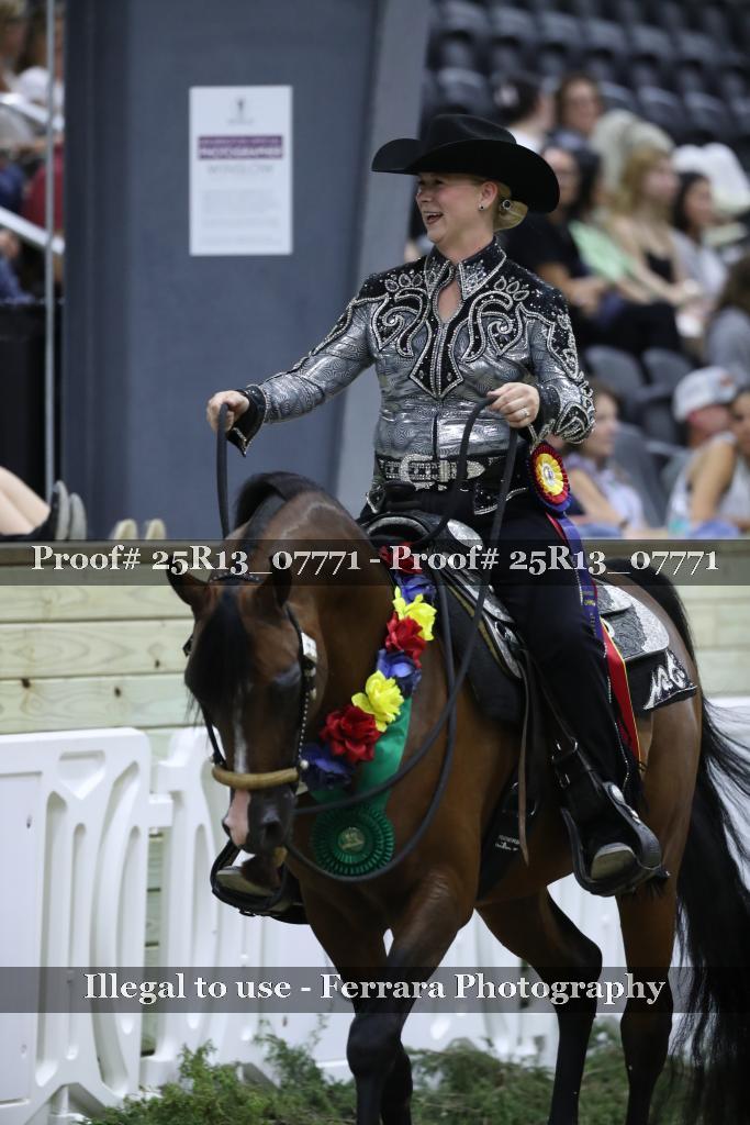 Proof Number 25R13_07771