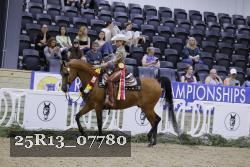 25R13_07780 thumbnail