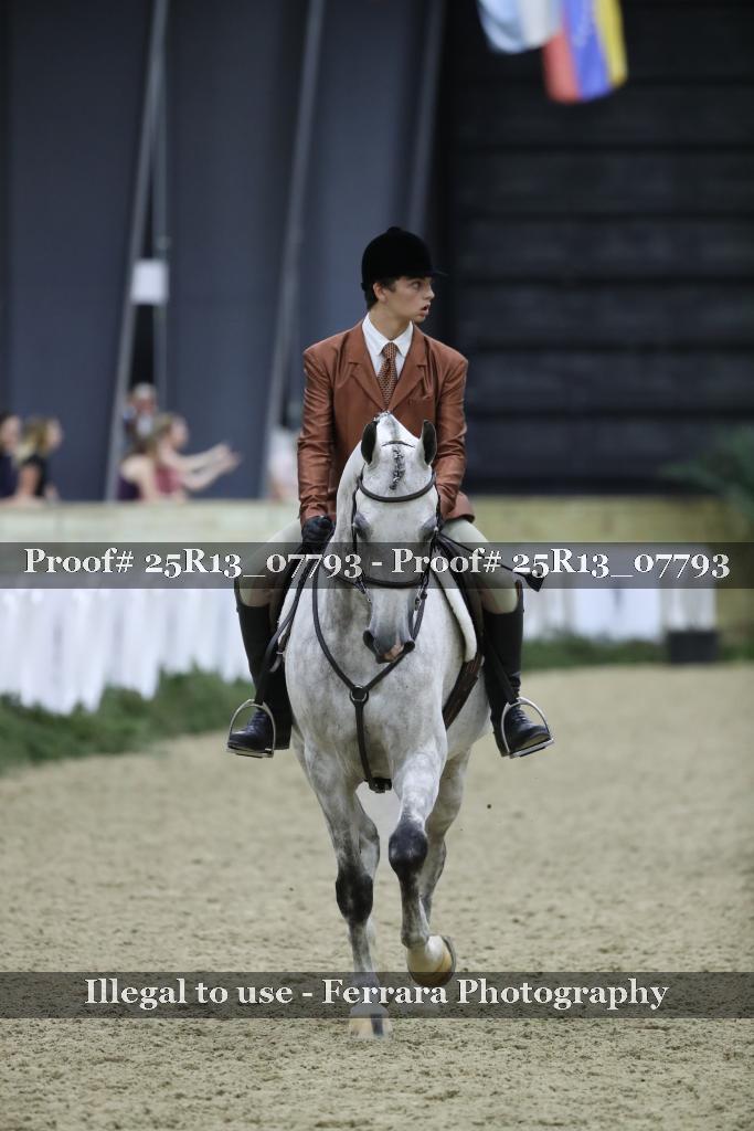 Proof Number 25R13_07793
