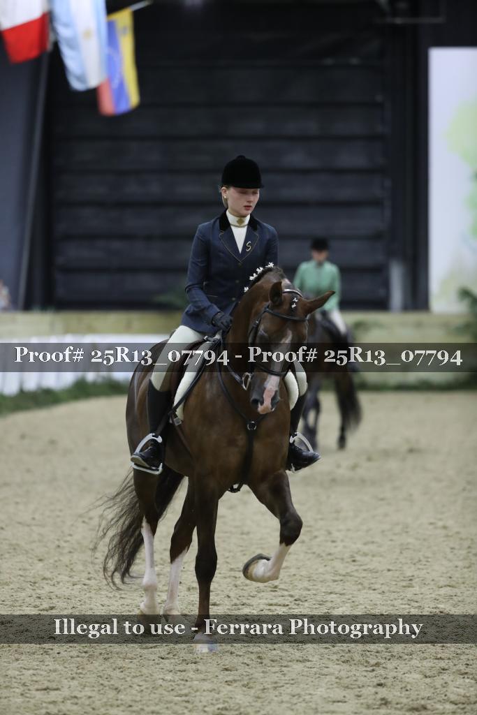 Proof Number 25R13_07794