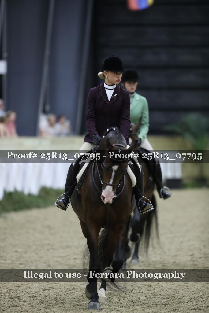 Proof Number 25R13_07795