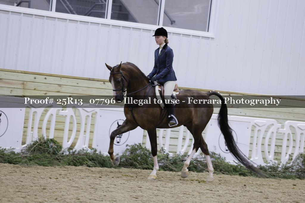 Proof Number 25R13_07796